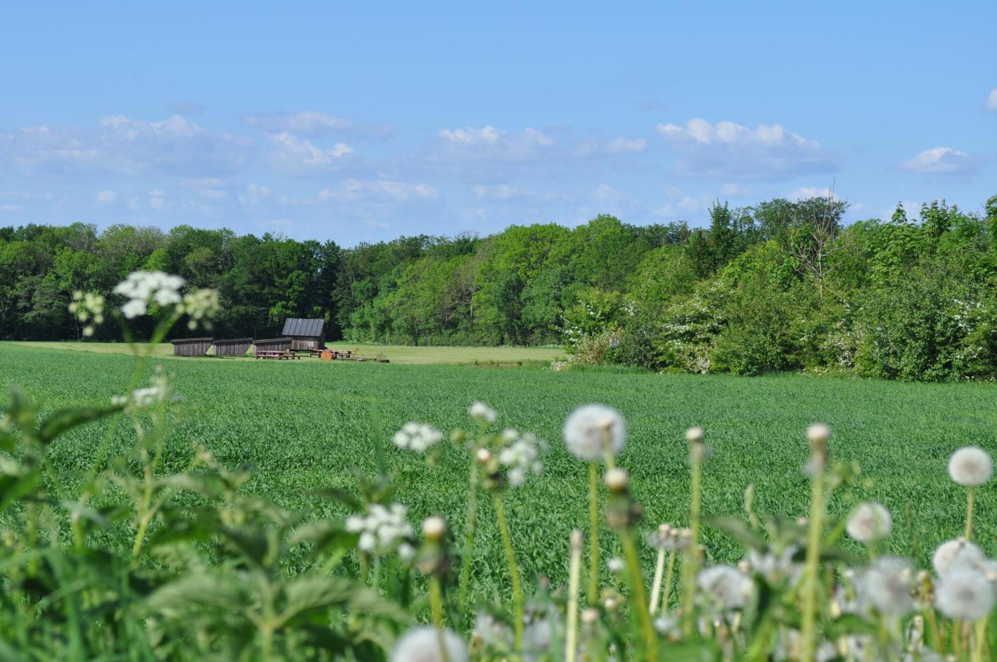 Koebenhovedskov Bed & Breakfast Rodding ภายนอก รูปภาพ