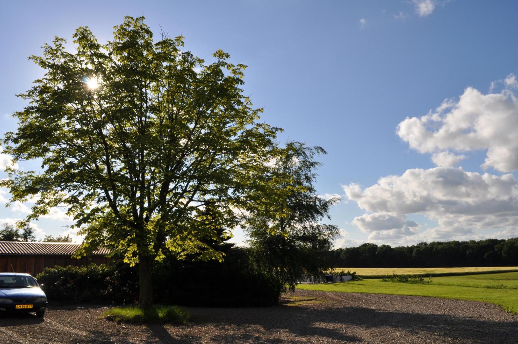 Koebenhovedskov Bed & Breakfast Rodding ภายนอก รูปภาพ